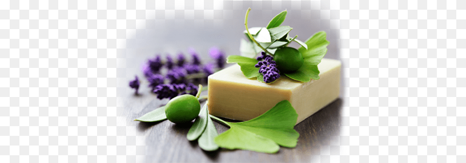 Natural Soap Organic Handmade Soap, Flower, Plant, Birthday Cake, Cake Free Png