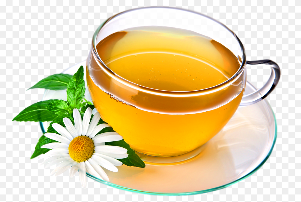 Natural Tea In Cup With Leaf, Beverage, Plant, Herbs, Herbal Free Png