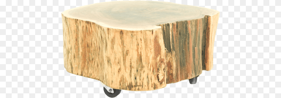 Natural Tree Stump Accent Table Coffee Table, Plant, Wood, Tree Stump, Furniture Free Png