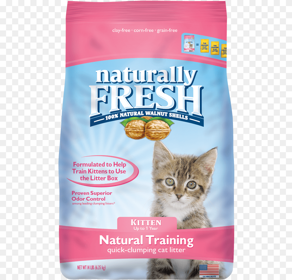 Naturally Fresh Kitten Litter, Animal, Cat, Mammal, Pet Free Transparent Png