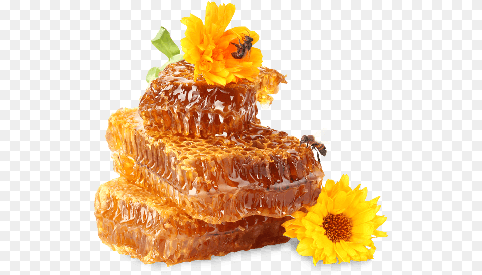 Naturally Pure Honey Straight Honey And Bee, Food, Animal, Invertebrate, Insect Free Png