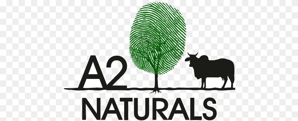 Naturals A2 Naturals Tea Brewer, Animal, Zoo, Cattle, Cow Free Png Download