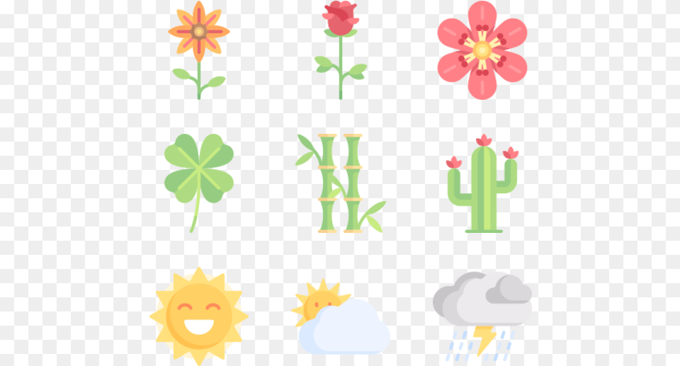 Nature, Plant, Petal, Flower, Graphics Png Image