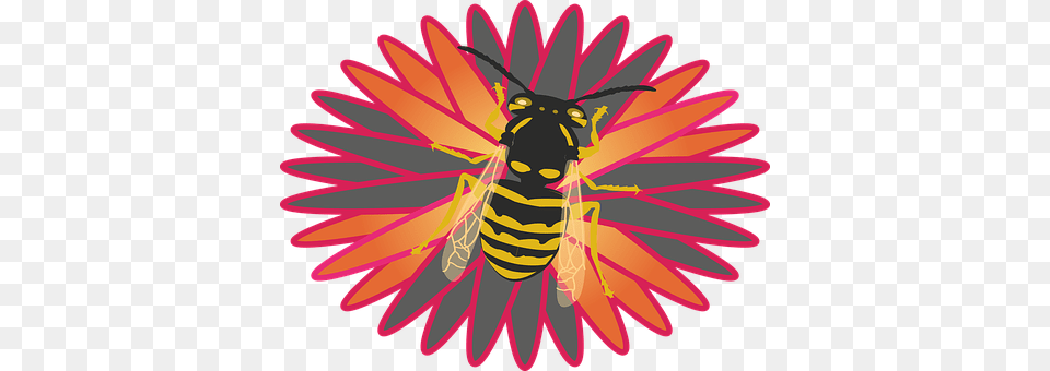Nature Animal, Bee, Insect, Invertebrate Png Image
