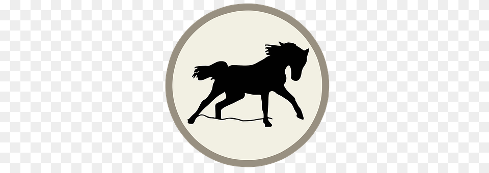Nature Silhouette, Animal, Horse, Mammal Png Image