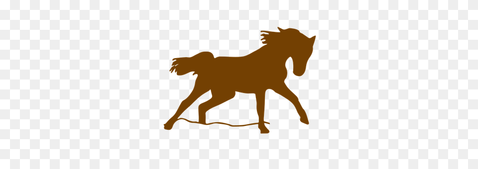Nature Animal, Colt Horse, Horse, Mammal Png Image