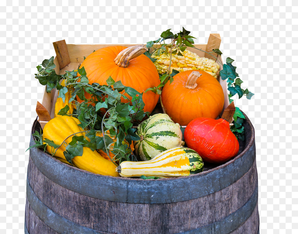 Nature Food, Plant, Produce, Pumpkin Png Image