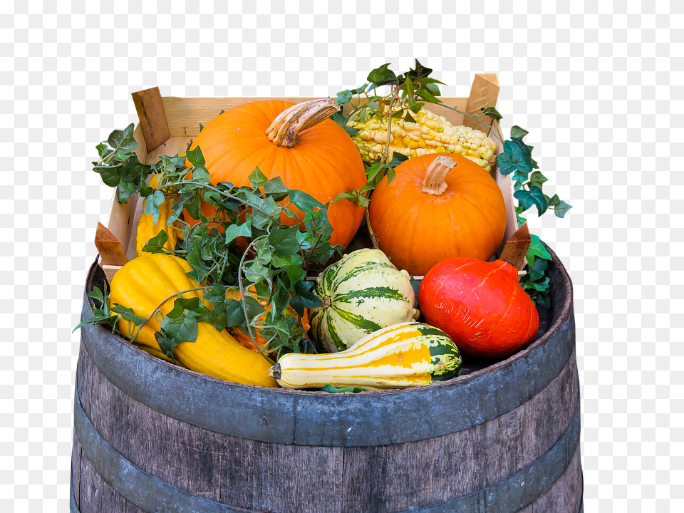 Nature Plant, Food, Produce, Pumpkin Png