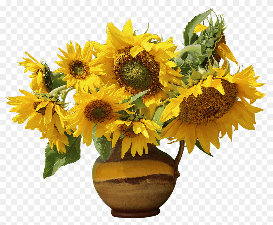 Nature Flower, Flower Arrangement, Plant, Sunflower Free Png