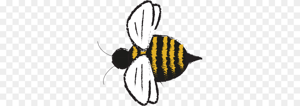 Nature Animal, Bee, Insect, Invertebrate Png Image