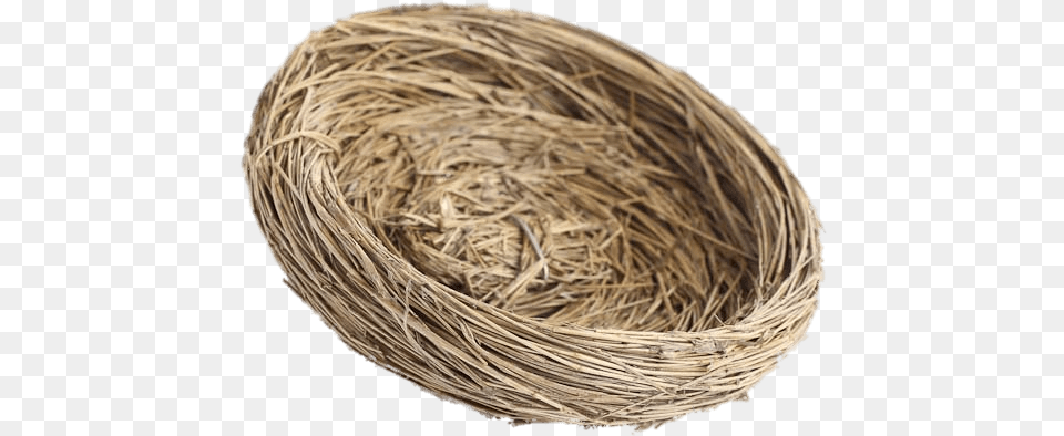 Nature Natural Bird Nest Diameter Brown Png