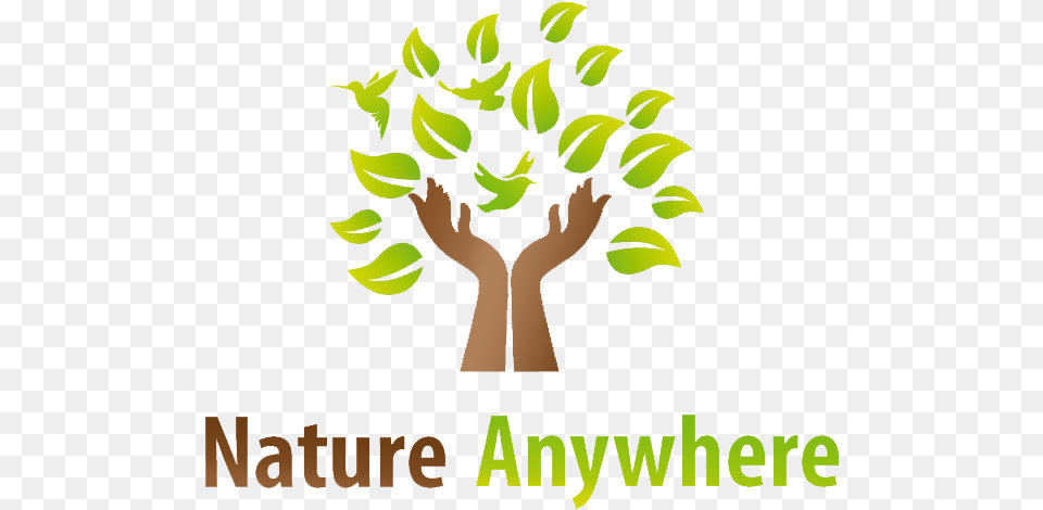 Nature Anywhere Logo Nature Birds Logo, Ball, Sport, Tennis, Tennis Ball Free Png Download