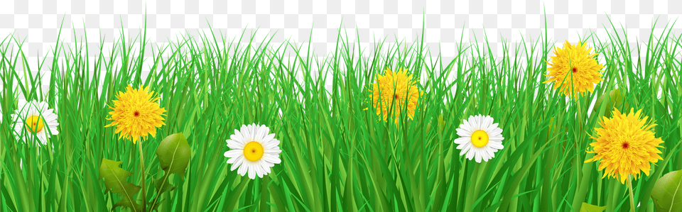 Nature Background Free Png