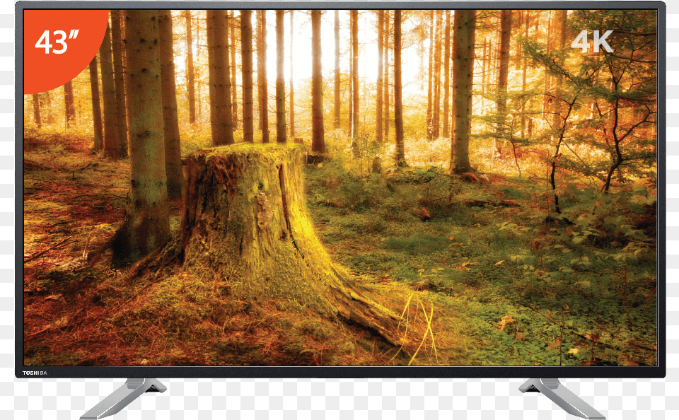 Nature Background Full Hd, Computer Hardware, Electronics, Hardware, Monitor Free Transparent Png