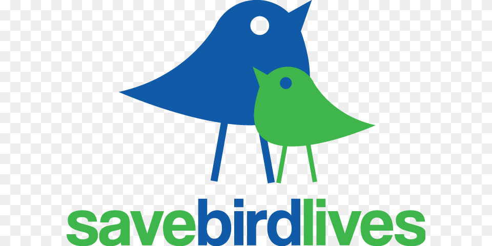Nature Canada Save Bird Lives Endangered Species Clip Save The Birds, Animal, Jay Free Transparent Png