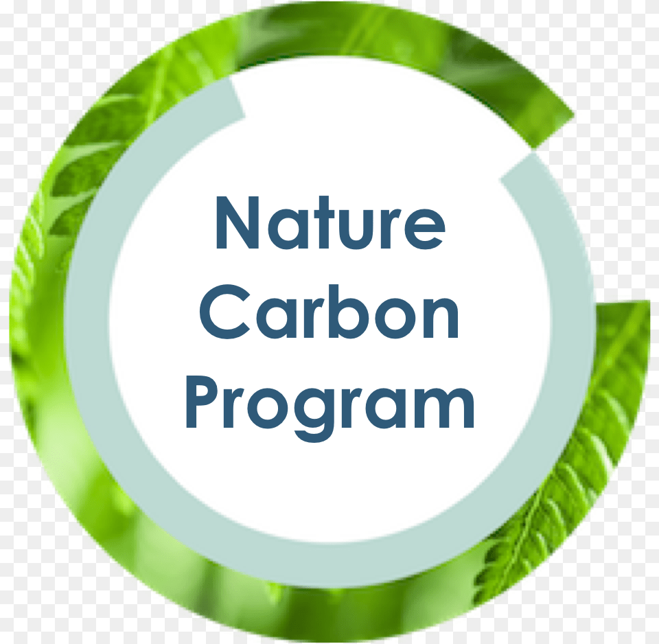 Nature Carbon Program Ucl Integrated Engineering Programme, Green, Herbal, Herbs, Leaf Png
