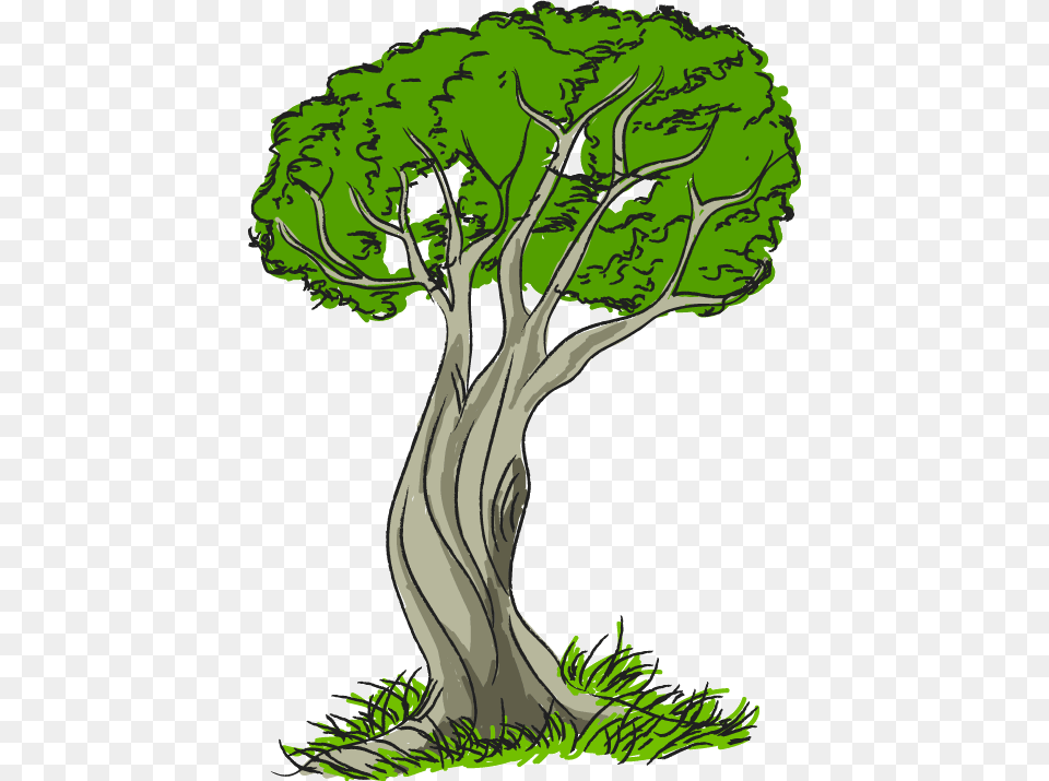 Nature Clip Art, Plant, Tree, Tree Trunk, Person Png