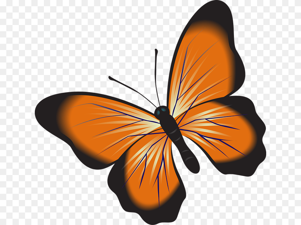 Nature Clipart, Person, Animal, Butterfly, Insect Free Png Download