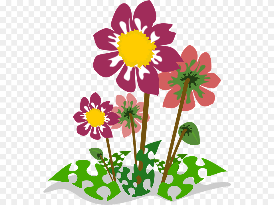 Nature Clipart, Plant, Petal, Daisy, Flower Free Transparent Png