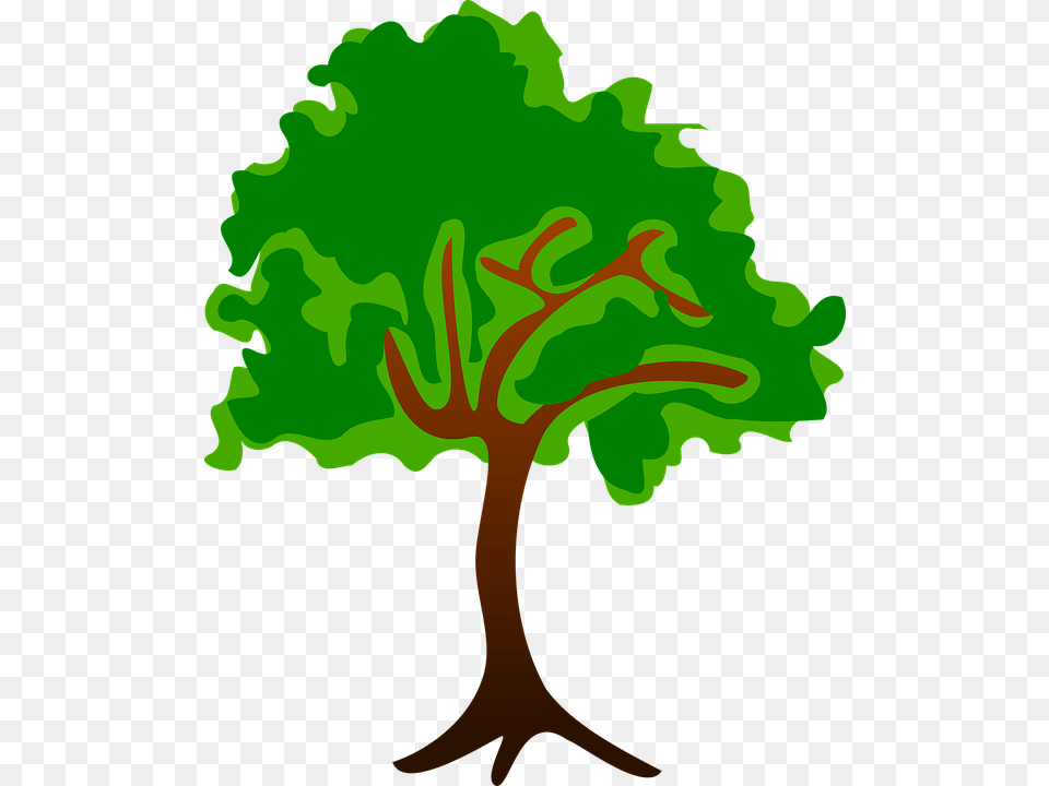 Nature Clipart Image, Green, Plant, Tree, Vegetation Free Png