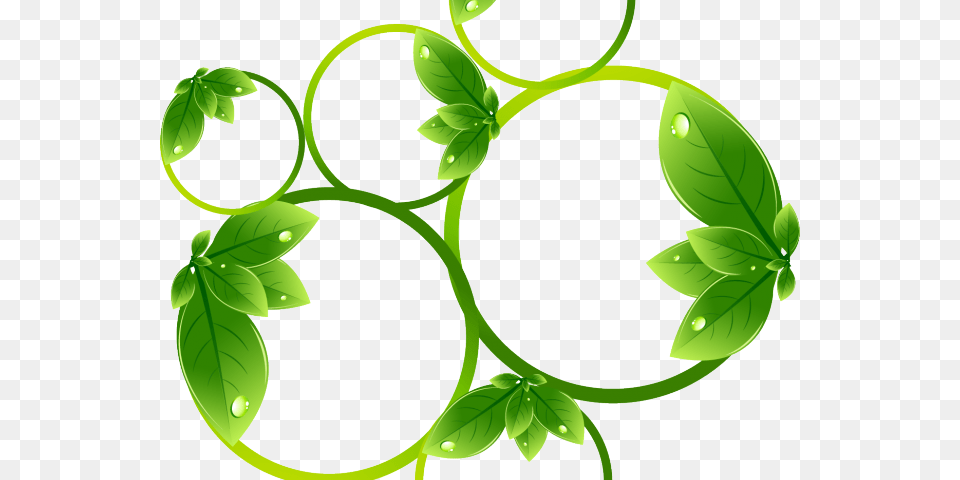 Nature Clipart Transparent, Green, Leaf, Plant, Vine Free Png Download