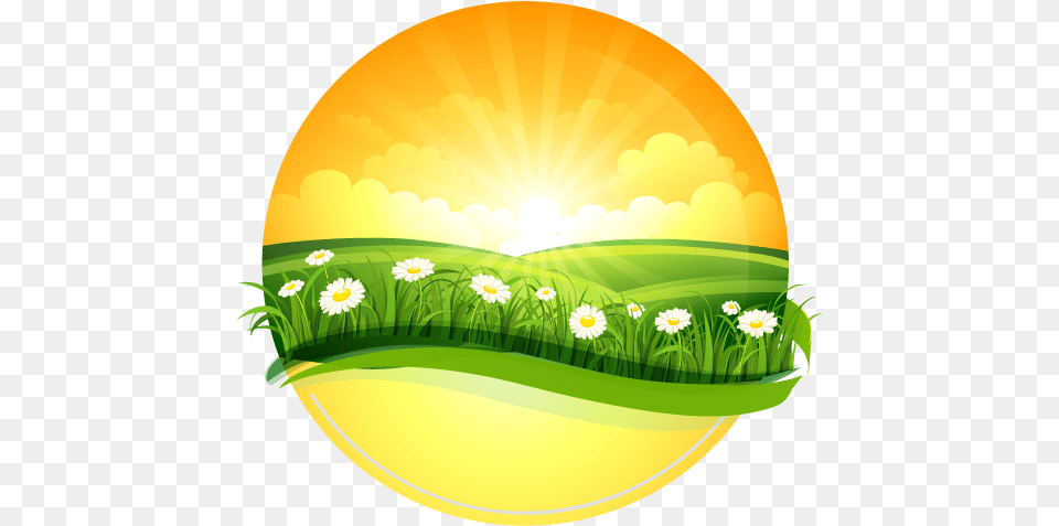 Nature Drawings Transparent Images Illustration, Egg, Food, Flower, Plant Free Png Download