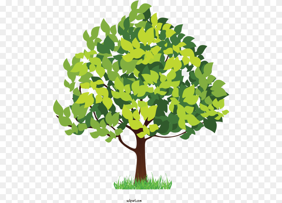 Nature Four Seasons Hotels And Resorts Hotel For Tree Tree Seasons Puzzle For Kids, Oak, Plant, Potted Plant, Sycamore Free Transparent Png