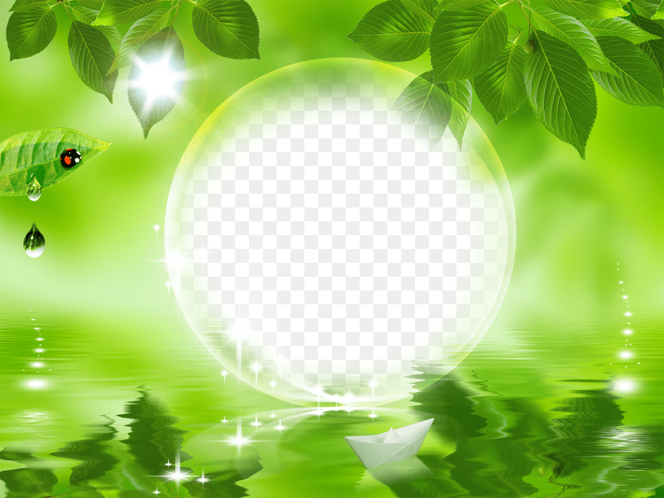 Nature Frames Nature Green Leaf Background Hd, Plant, Sunlight, Sea Life, Animal Png Image