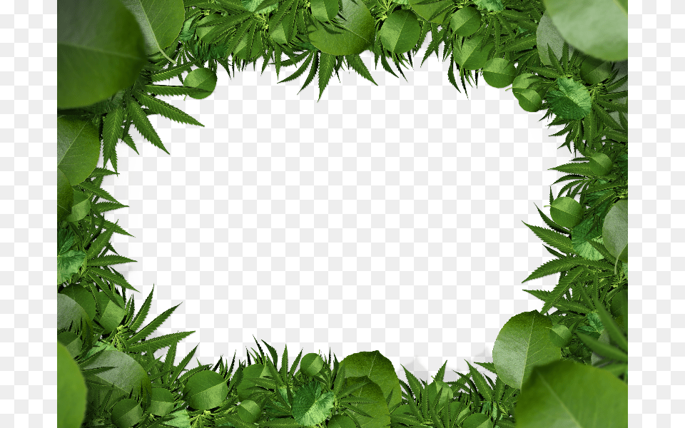 Nature Green Leaf Border Clipart Download Leaves Border, Potted Plant, Plant, Jar, Planter Free Png