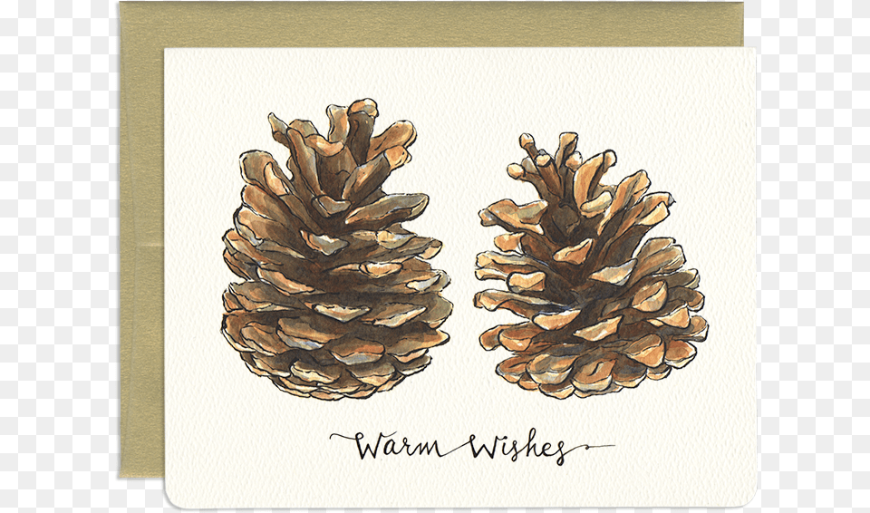 Nature Holiday Greeting Card Pine Cone Puns, Conifer, Plant, Tree, Wood Free Transparent Png