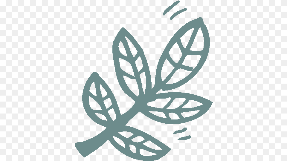 Nature Icon Paw Destrian Insect, Leaf, Plant, Stencil, Outdoors Png