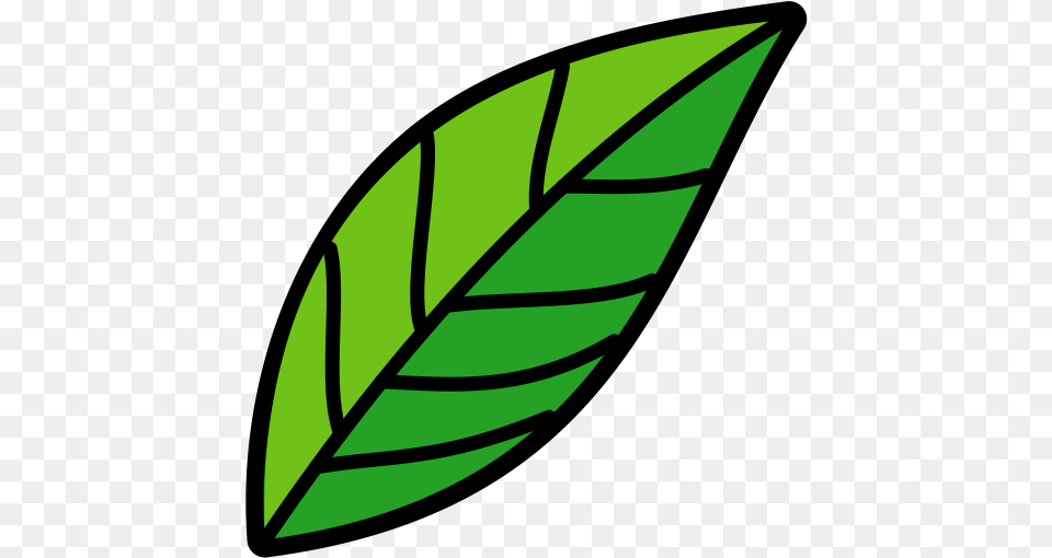 Nature Leaf Icon And Svg Vector Vertical, Plant, Herbal, Herbs, Animal Free Transparent Png