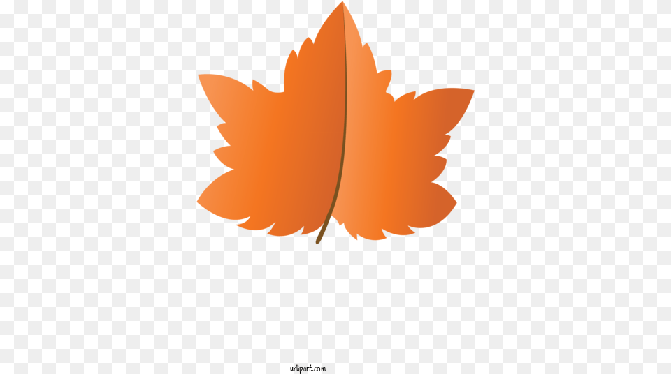 Nature Maple Leaf Artistic Gymnastics For Autumn Language, Plant, Maple Leaf, Tree, Baby Free Png