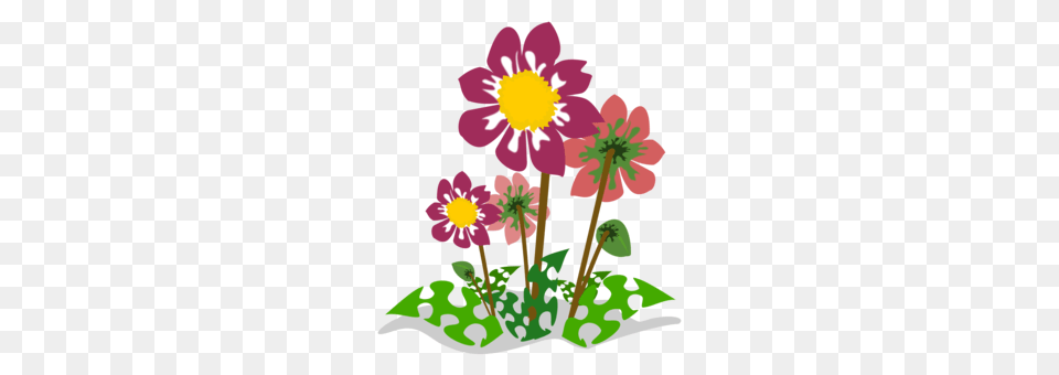 Nature Natural Resource Natural Landscape Natural Environment, Daisy, Flower, Petal, Plant Free Png