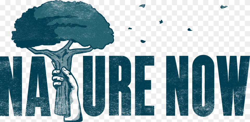 Nature Now Tree, Advertisement, Person Free Png