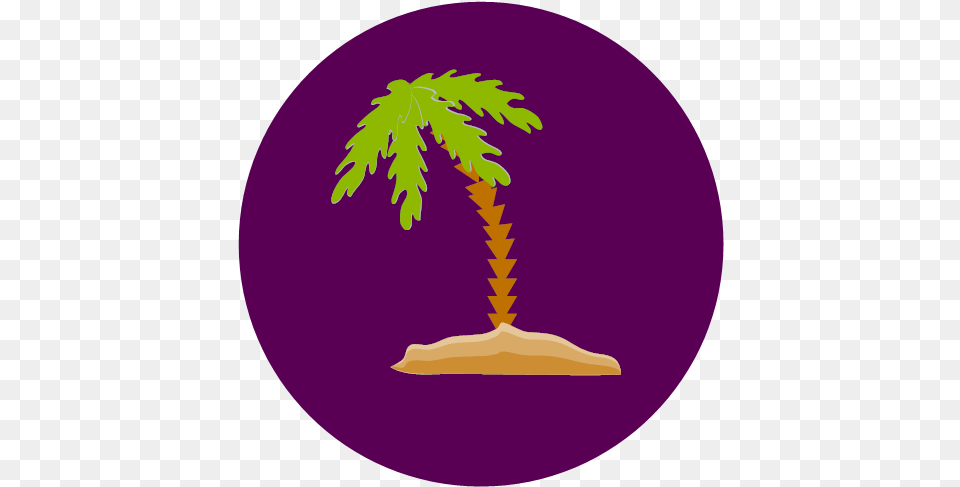 Nature Palm Tree Icon, Palm Tree, Plant, Leaf, Potted Plant Png
