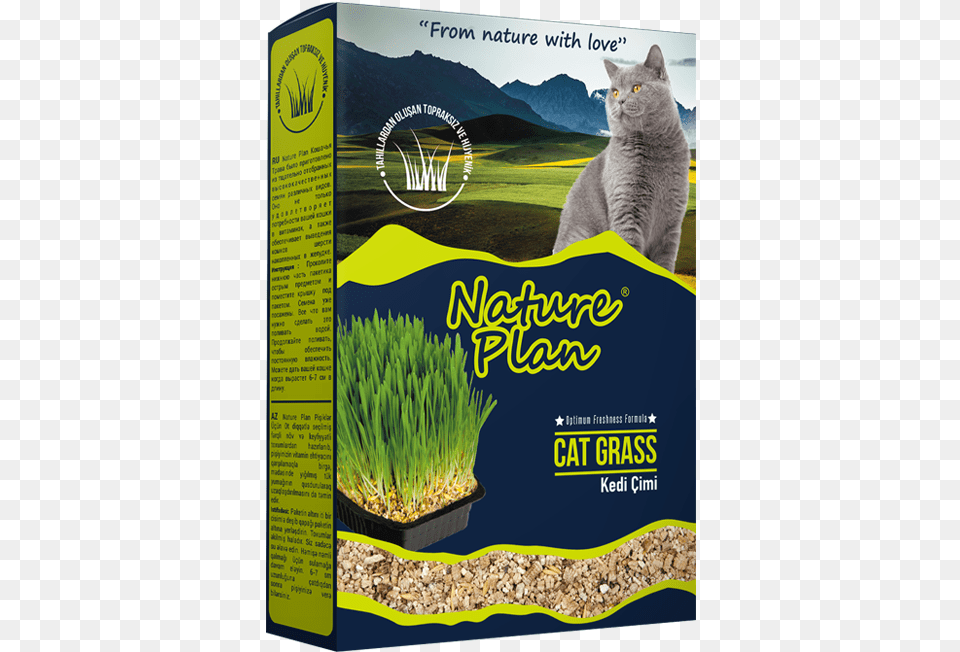 Nature Plan Cat Grass, Advertisement, Plant, Poster, Herbal Png Image
