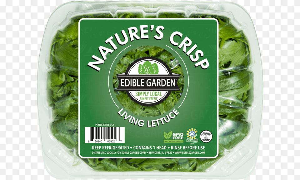 Nature S Crisp Living Lettuce Spinach, Food, Leafy Green Vegetable, Plant, Produce Free Png