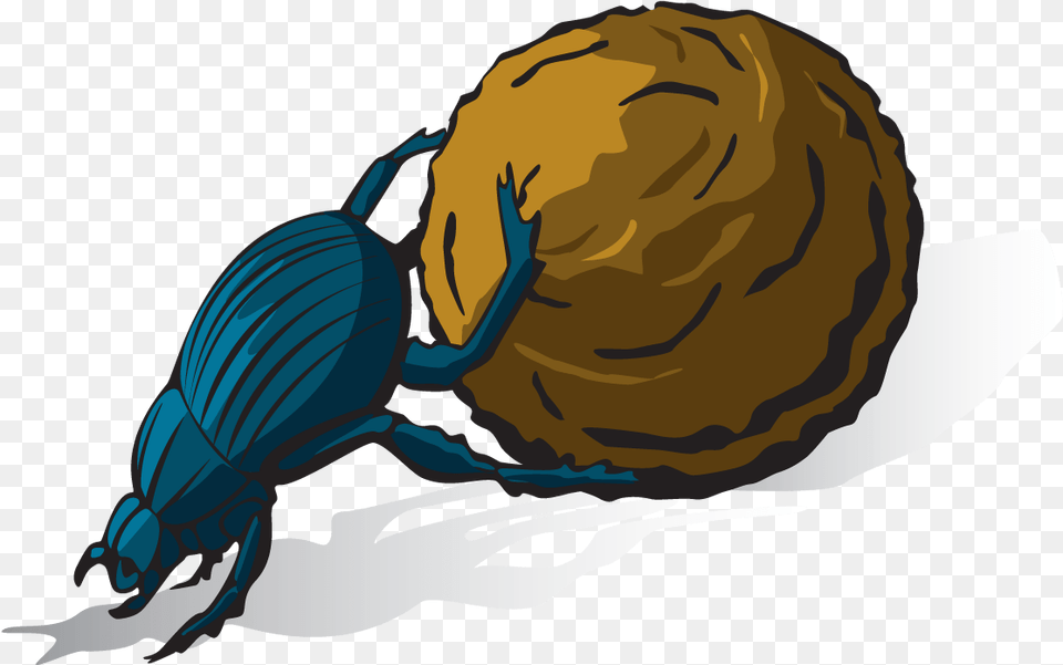 Nature S Rhythm Playing With Music And Sound Outdoors Illustration, Animal, Dung Beetle, Insect, Invertebrate Free Transparent Png