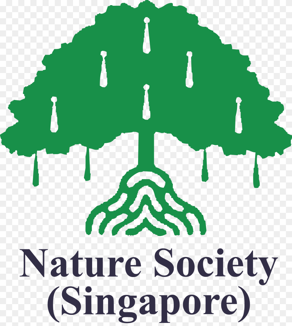 Nature Society, Baby, Person, Chandelier, Green Free Png