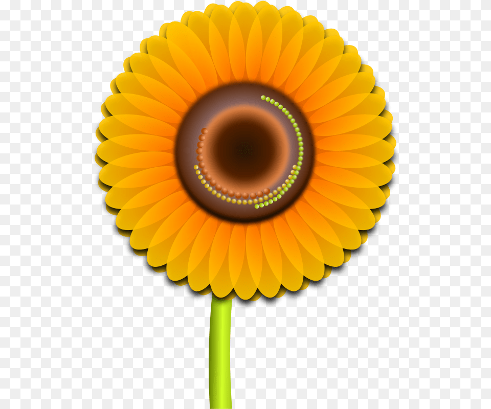 Nature Sunflower, Daisy, Flower, Plant, Dahlia Free Transparent Png