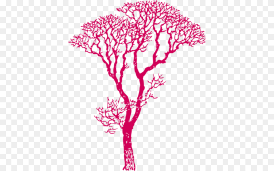 Nature Tree African Dk Pink Dad To Daughter Gifts, Art, Animal, Sea Life, Sea Free Png Download