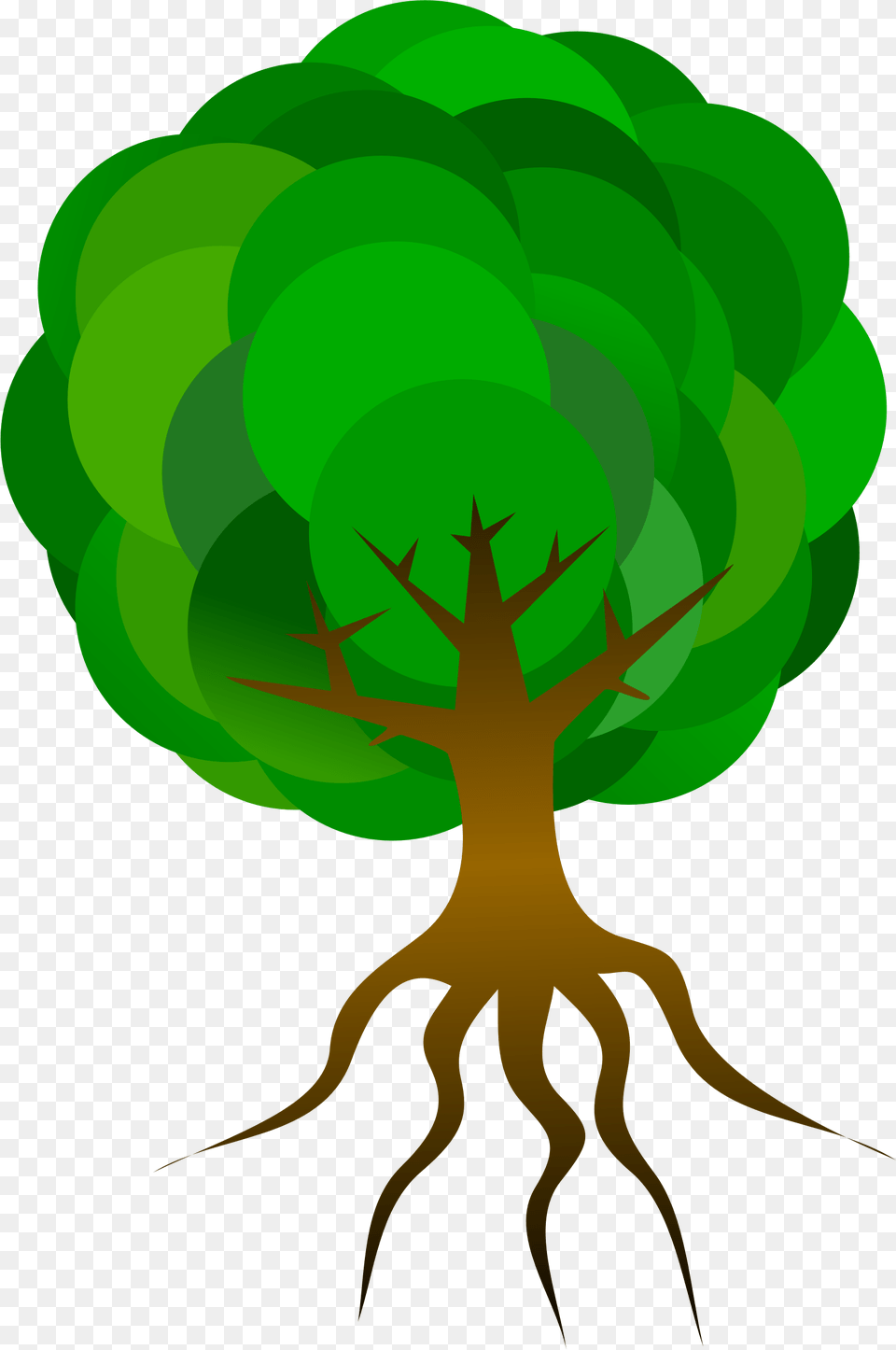 Nature Tree Branches Roots Skeleton Plant Leaves Tree With Roots Animation, Green, Root Free Png Download