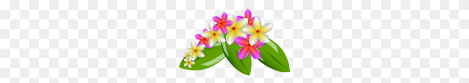 Nature Vector Clipart, Accessories, Flower, Flower Arrangement, Ornament Free Png