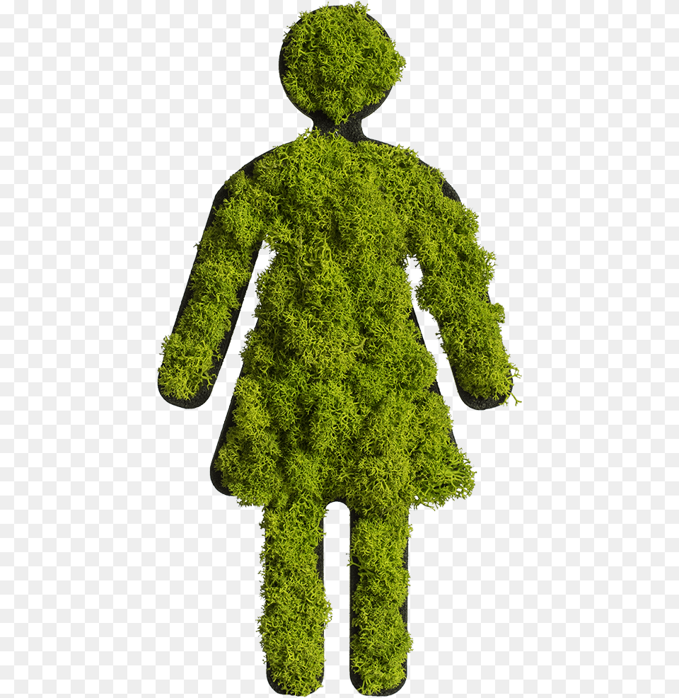 Nature Wall Decor Green Moss Toilet Signs Beautiful Moss Reindeer Art, Clothing, Coat, Plant, Person Png Image