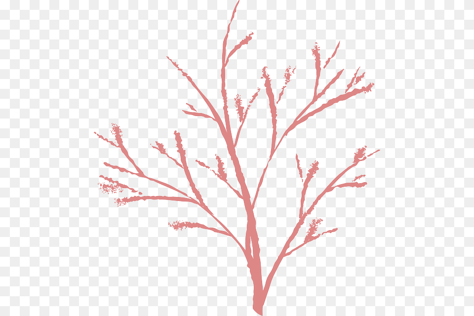 Nature Winter Twig Dead Bush Ranting, Art, Plant, Pattern, Outdoors Free Png Download