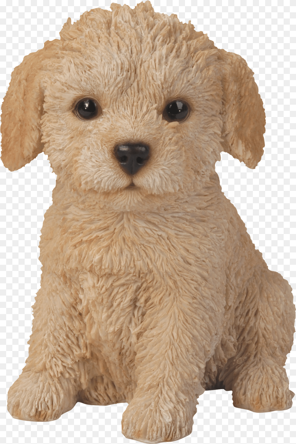Natures Gallery Labradoodle Puppy Statue, Animal, Canine, Dog, Mammal Png Image