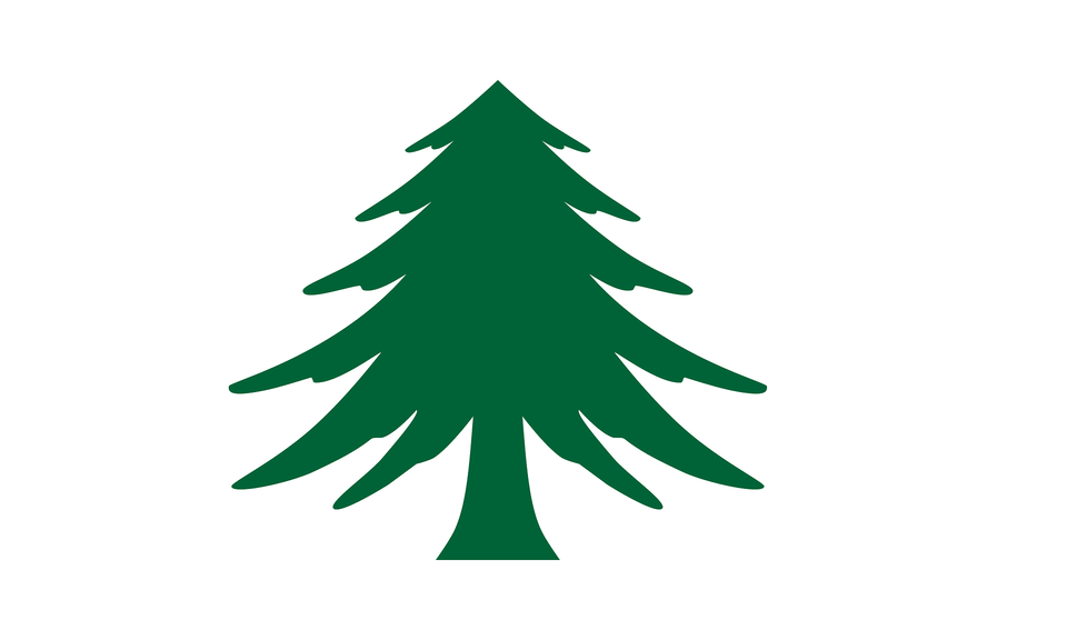 Naval Ensign Of Massachusetts Clipart, Plant, Tree, Fir, Animal Free Transparent Png