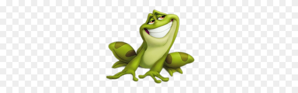 Naveen Frog Appearance, Amphibian, Animal, Wildlife Free Transparent Png