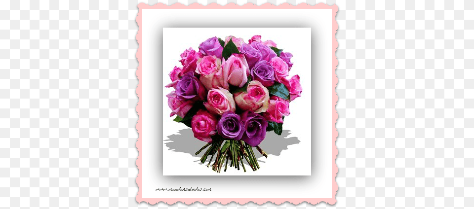 Navegacin De Entradas You Mydear, Flower, Flower Arrangement, Flower Bouquet, Plant Free Png